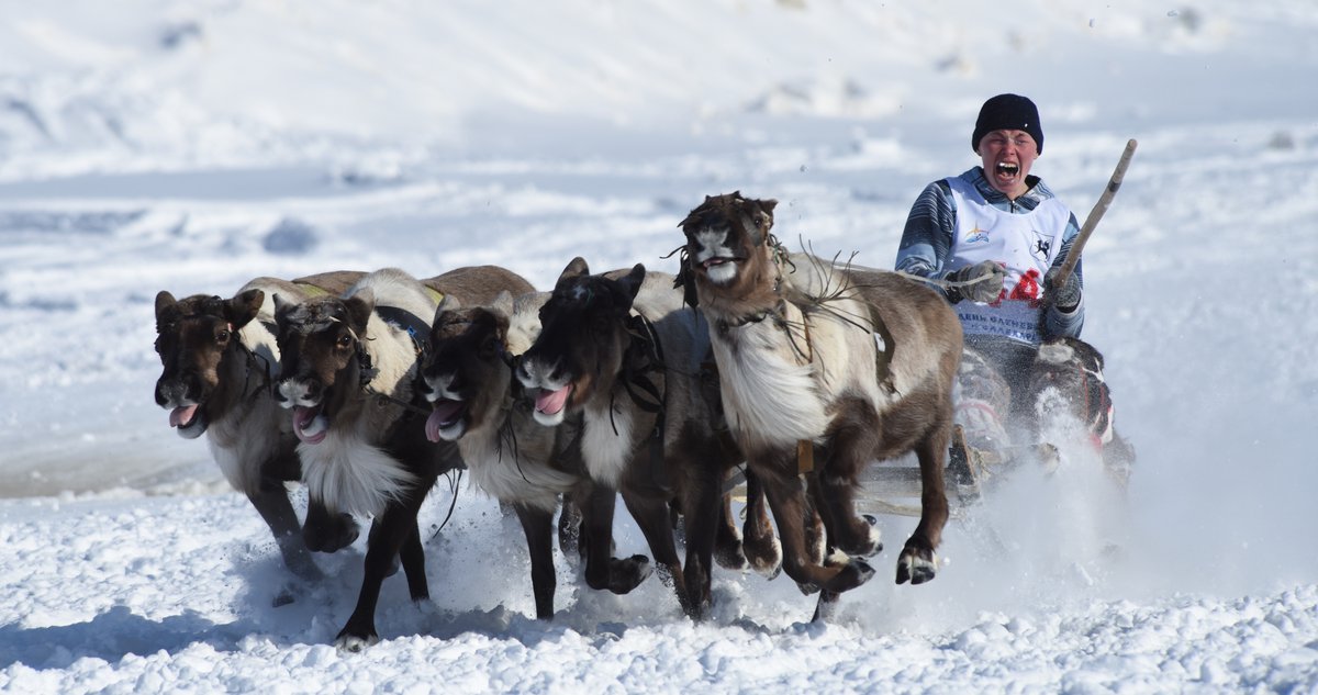 нас не догонишь! — Фото №260160
