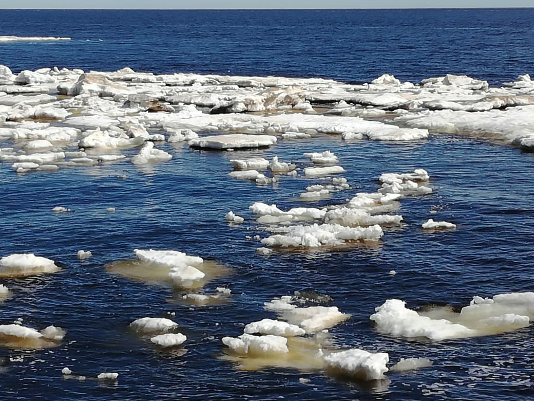 Лед в Печорском море