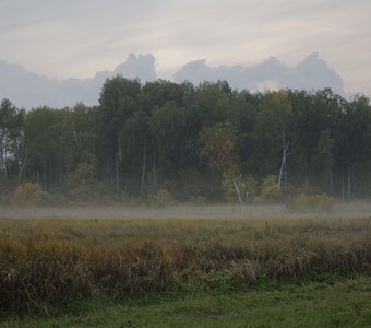 Осени заря