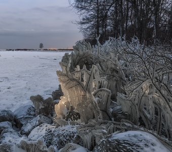 После ледяного шторма