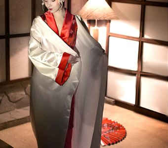 Загадочный мир гейш