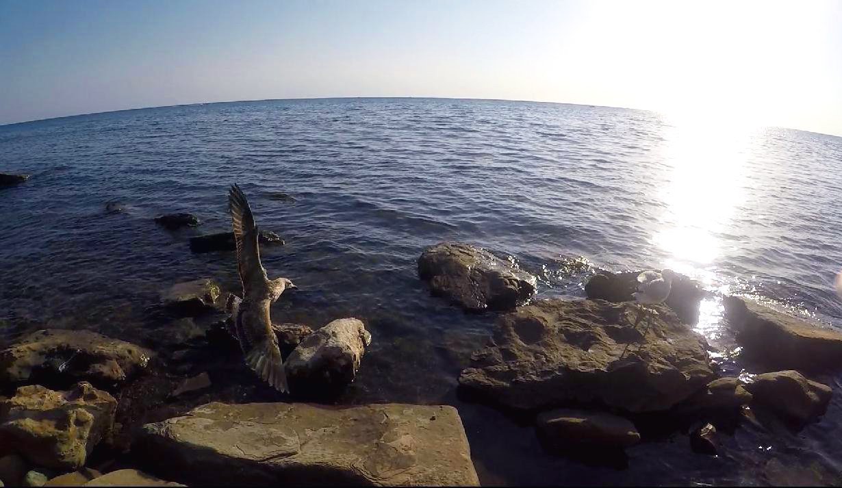 Место для единения с природой