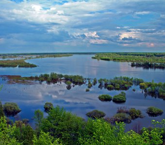 Устье Моломы