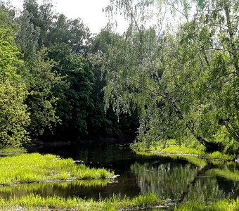 Река Клязьма близ усадьбы "Любимовка".