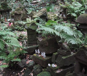 Лесные божества Камакуры