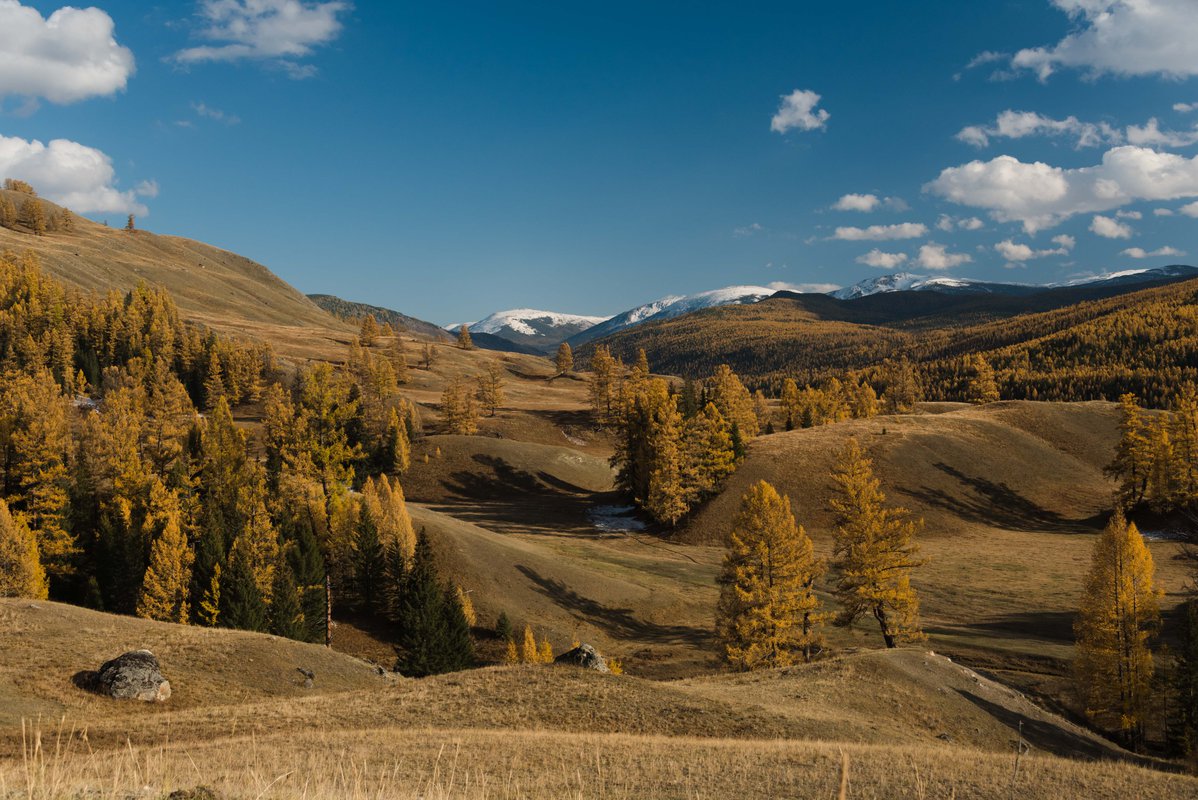 Фотосессия на Алтае осенью