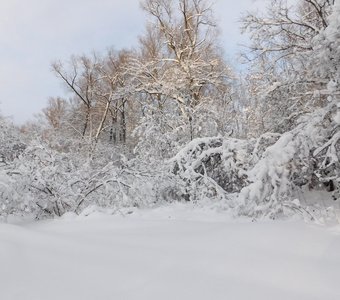 Зимняя сказка