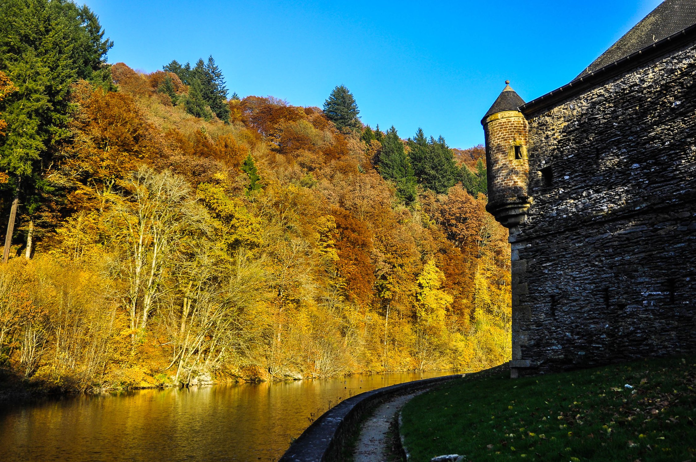 Golden autumn.