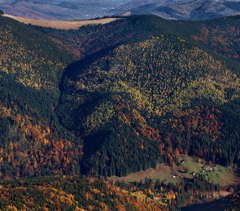Golden autumn Carpathian