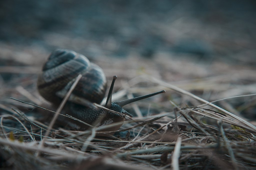 медленно но верно