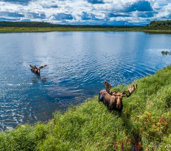 Улыбнитесь! Вас снимает летающая камера.