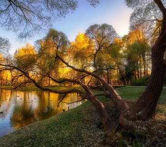 Заглянула осень в парк