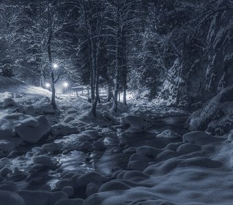 Серные источники в лесу ночью.Национальный парк Боржоми