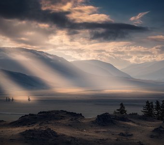 Утро в курайской степи