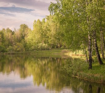 Зелень на воде