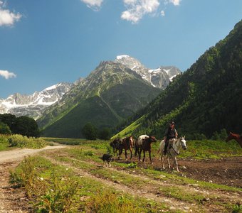 Напарники