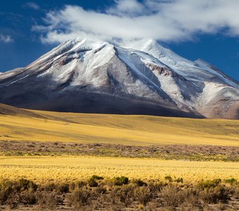 Пронзительность Атакамы