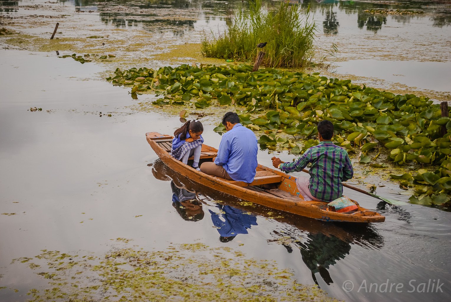 Dal Lake Srinagar Kashmir.