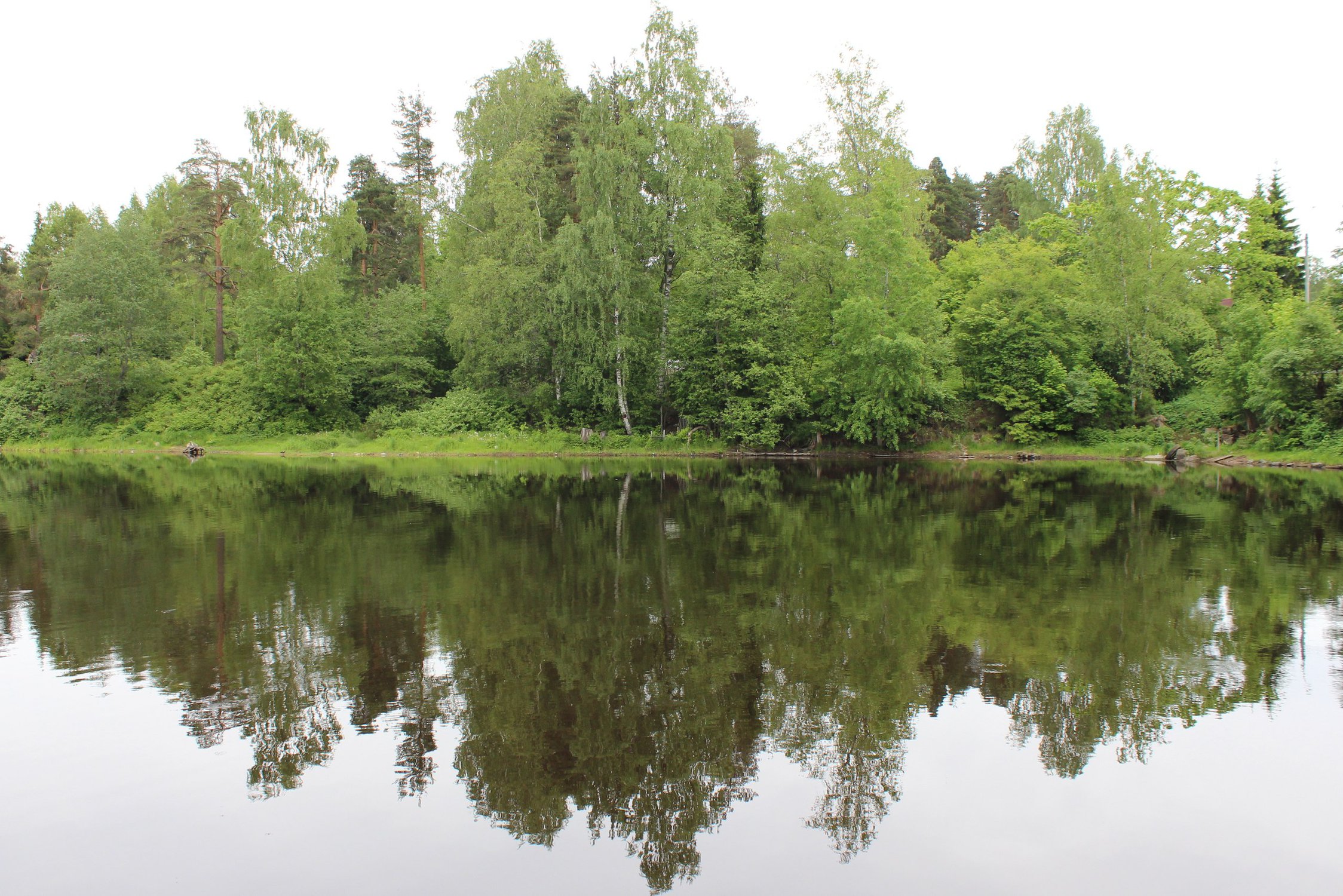 Идеальное отражение!