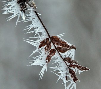 Зимняя бижутерия