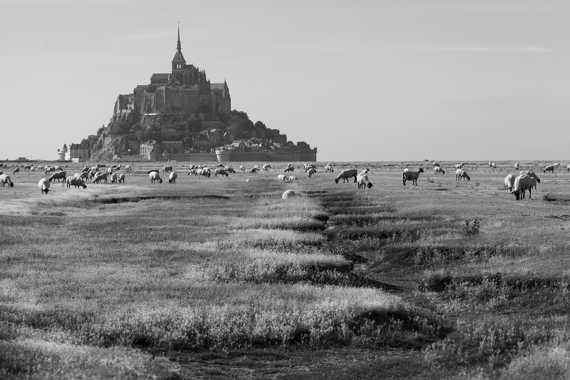 Mont Saint Michel