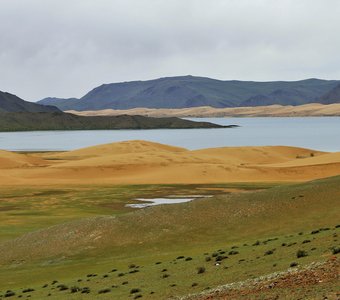 Контрасты озера Хар нуур,Завхан,Монголия