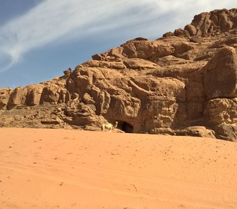 Верблюд в горной местности района Табук, Саудовская Аравия.