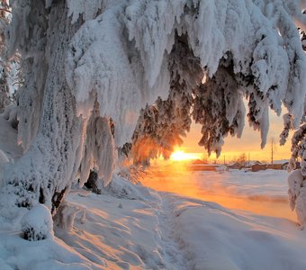 рождественские вечера