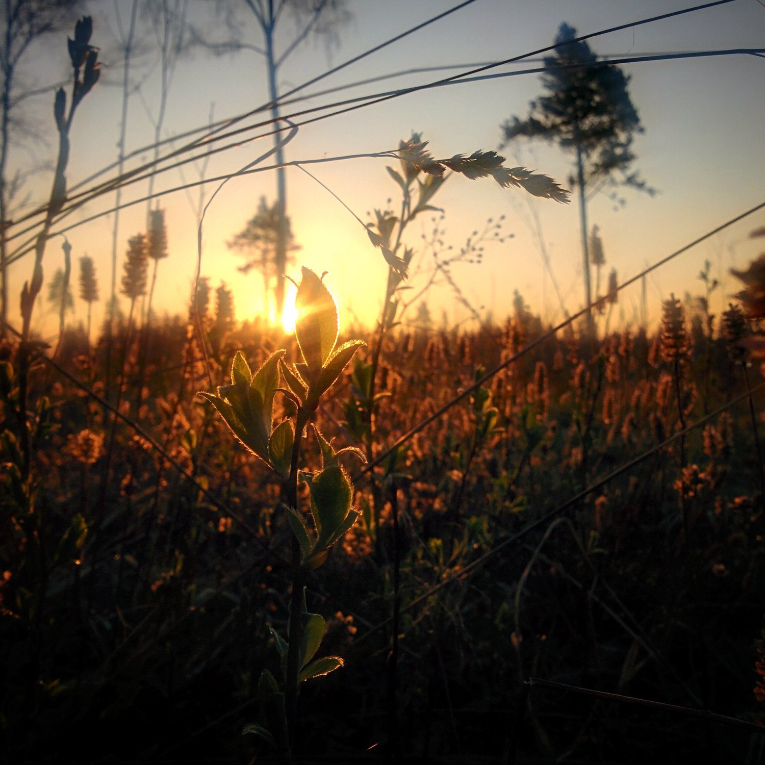 Новый день - новая жизнь