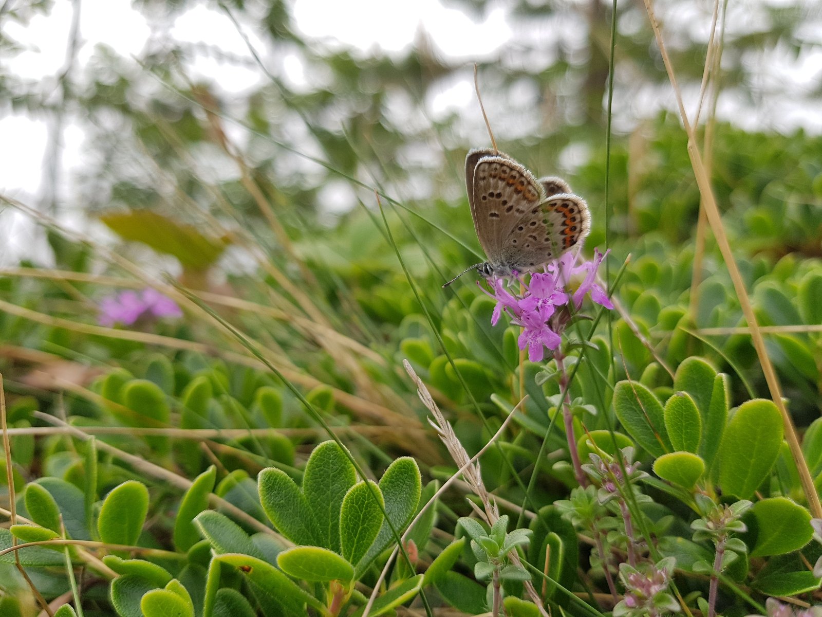 Прикоснись к природе