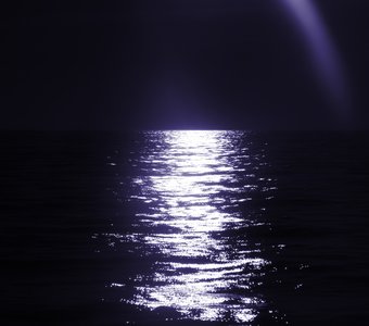 Ночь в океане
