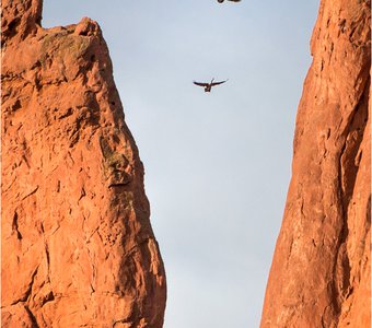 В поисках посадочной площадки