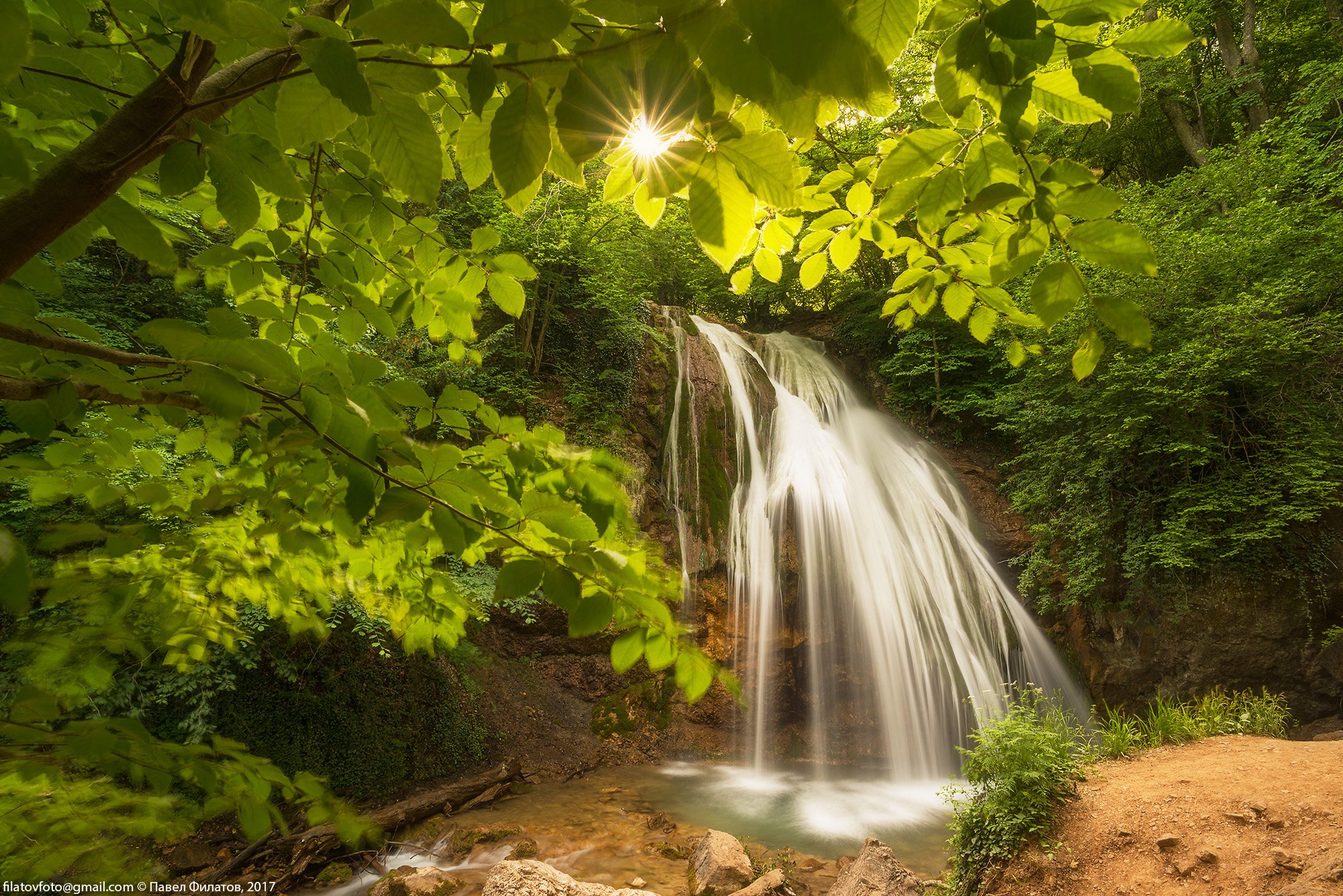 Звук родника. Джур Джур лес. Водопад и дерево. Красивый водопад с деревьями. Водопад в лесу.