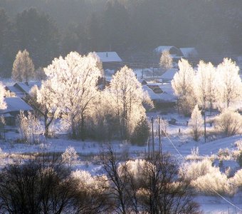 Зимние кружева природы Winter lace of the nature