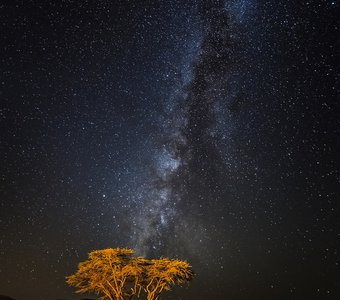 Ночь в пустыне Негев, Израиль