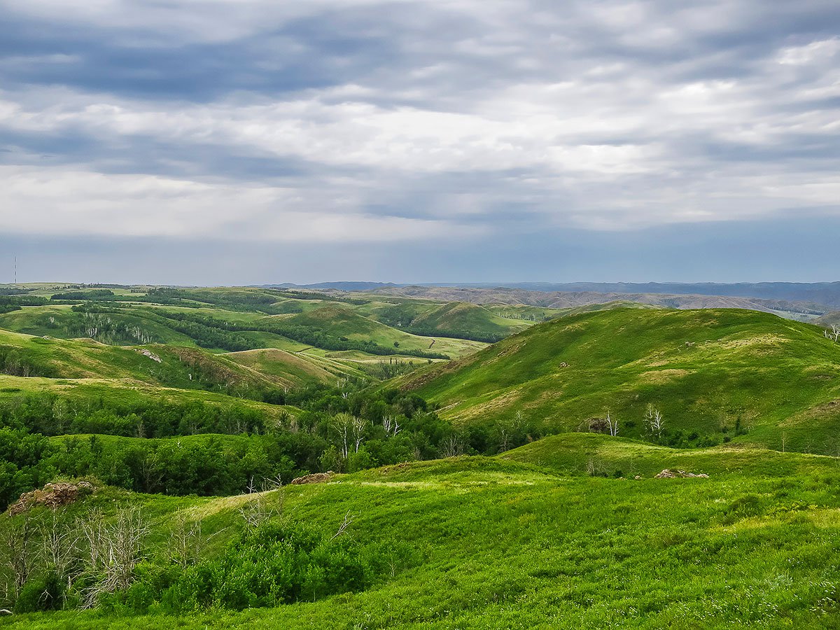 Оренбургский хребет. Губерлинские горы Оренбургская область. Степь Оренбургская Кувандык.