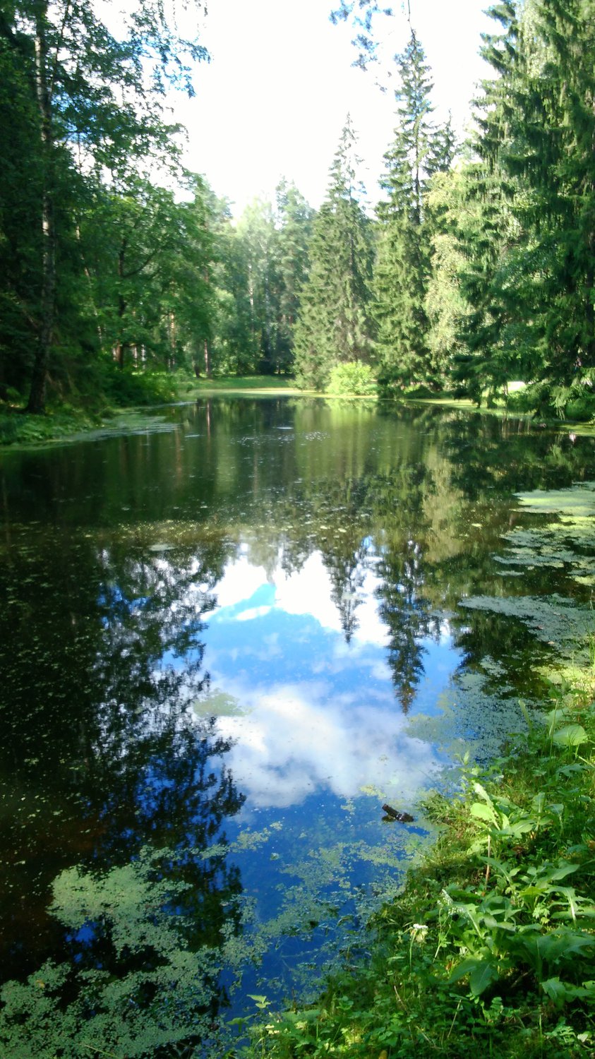 Павловск-парк — Фото №212304 — Russian Traveler