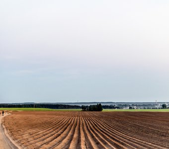 Вид на поля около с. Башарово