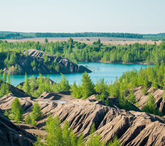 Тульский оазис