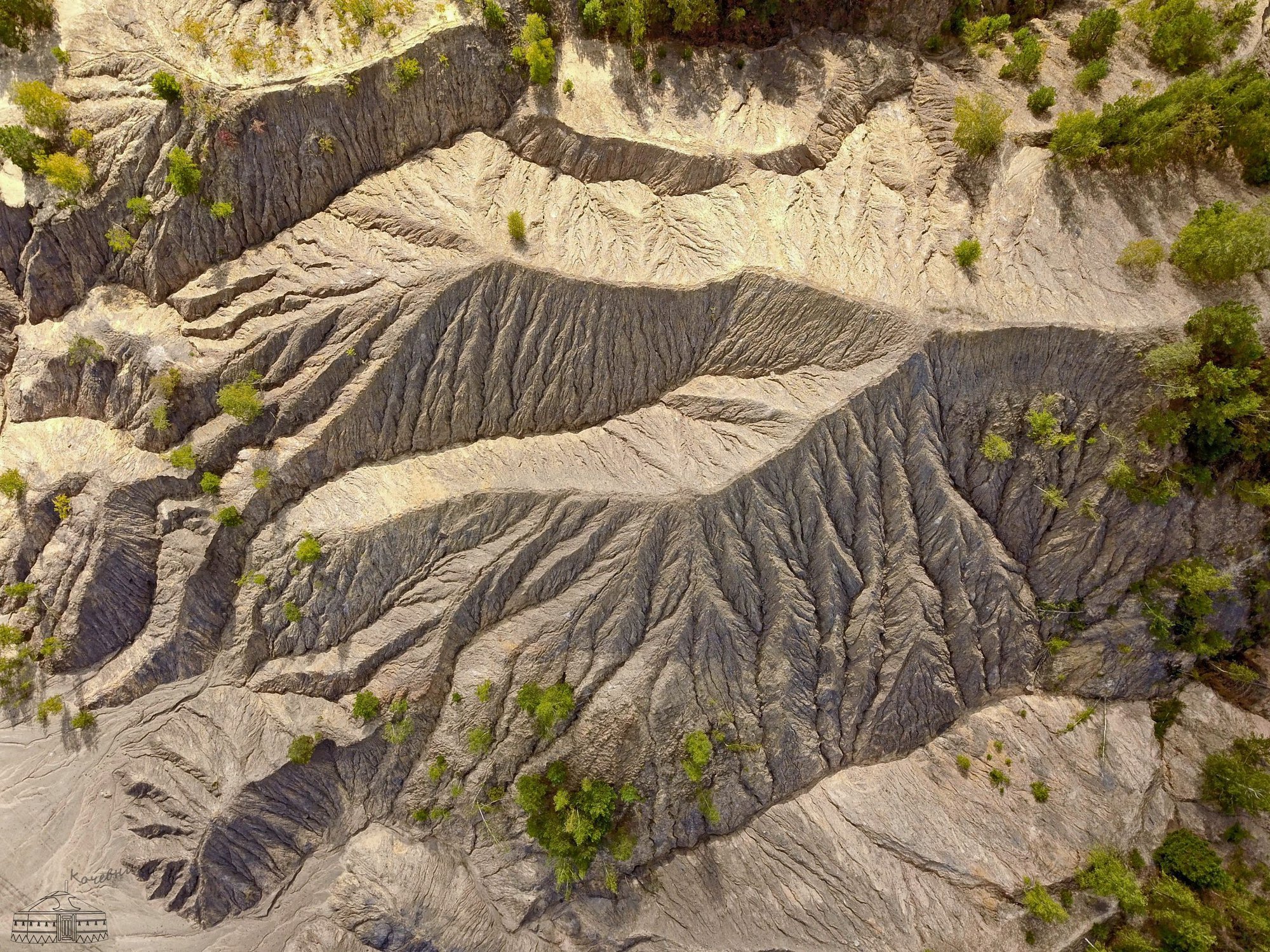 Инопланетная земля