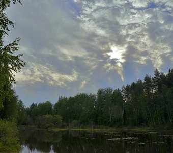 Бабочка в небе