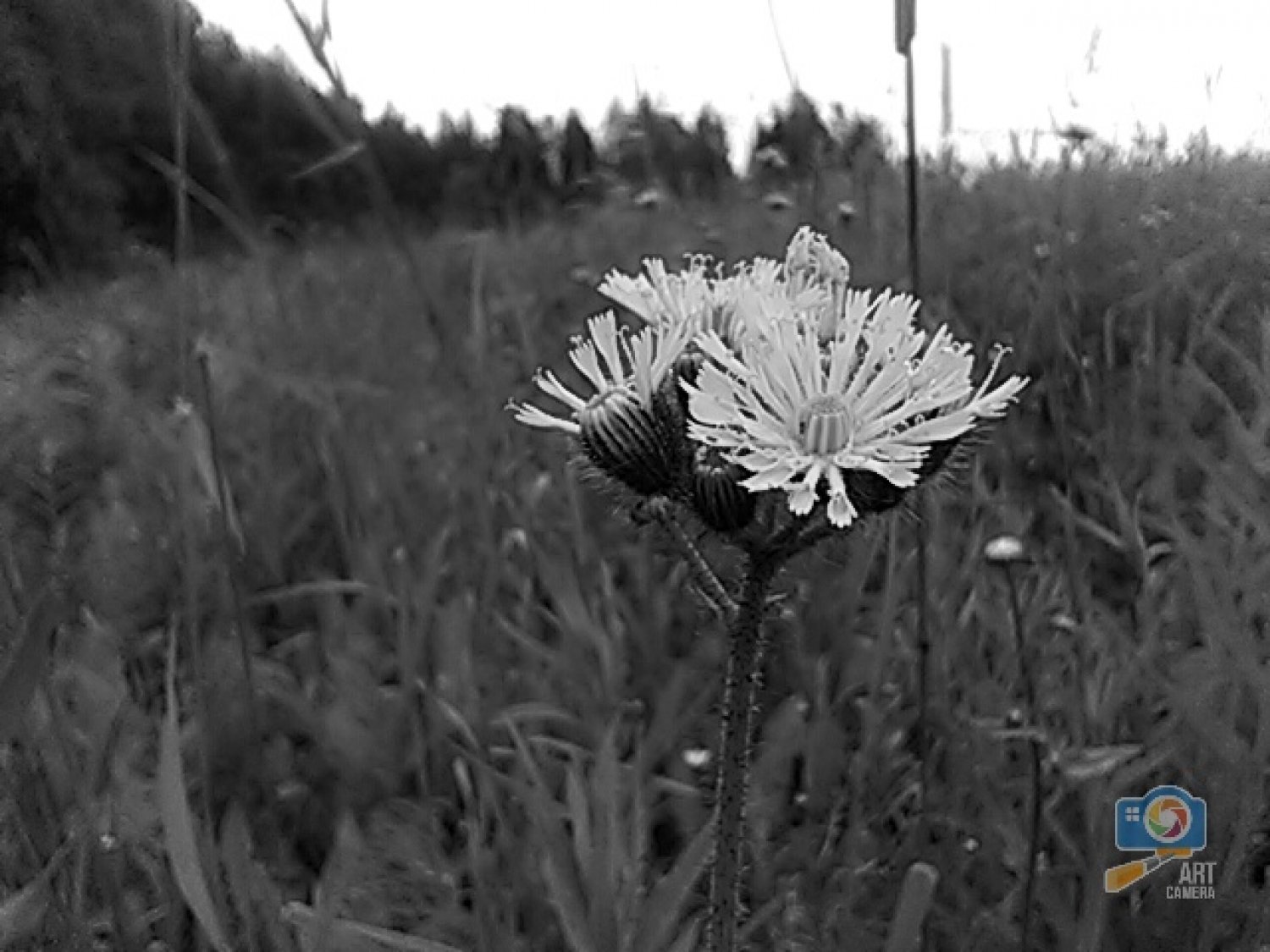 Одинокий(Удмуртия)