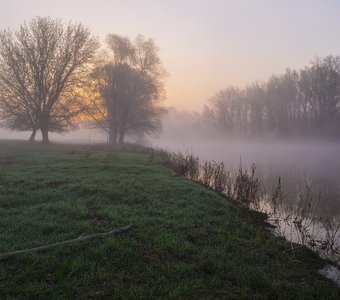 Туманное утро на реке Псел