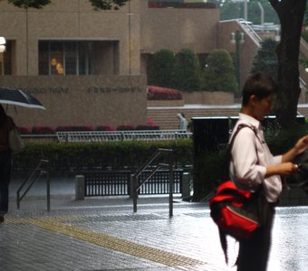 Дождь в Токио