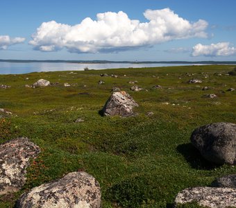 Время собирать камни