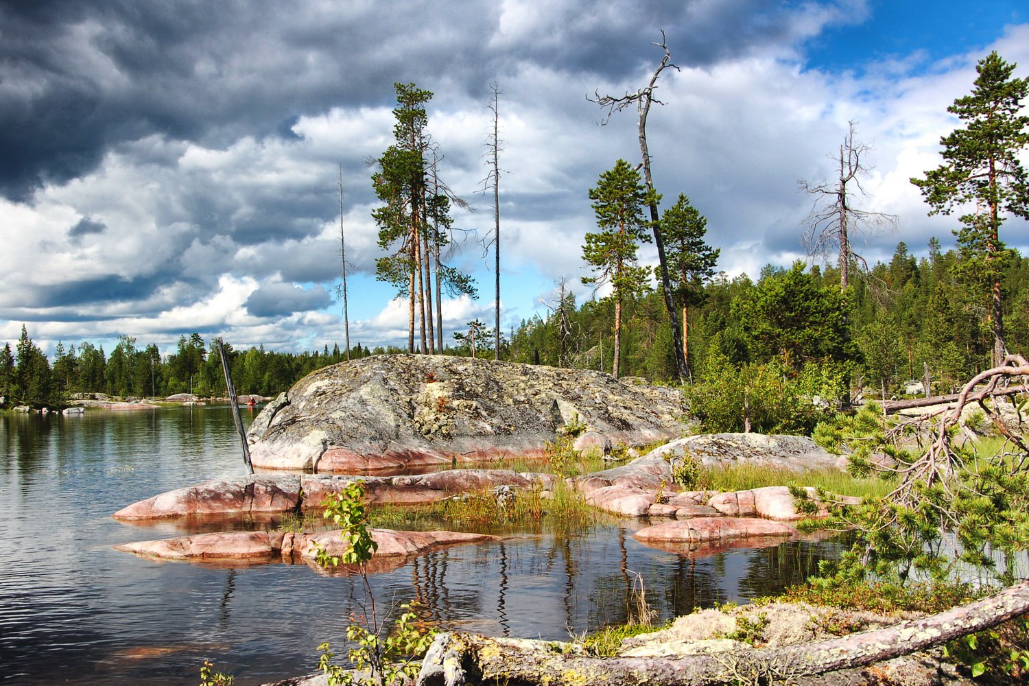 остров телячий