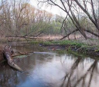 Бобровая речка