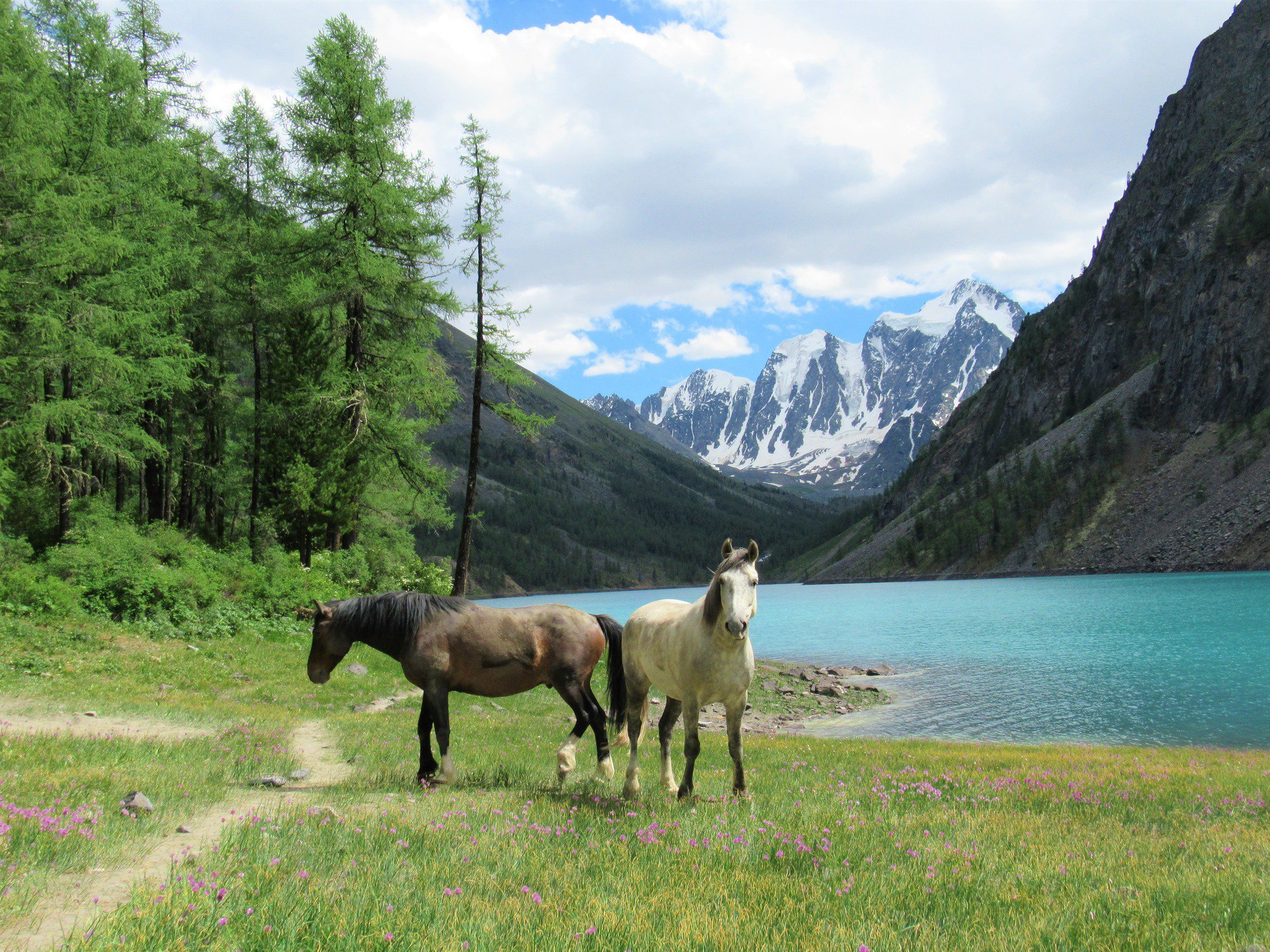 Высокогорные истоки жизни