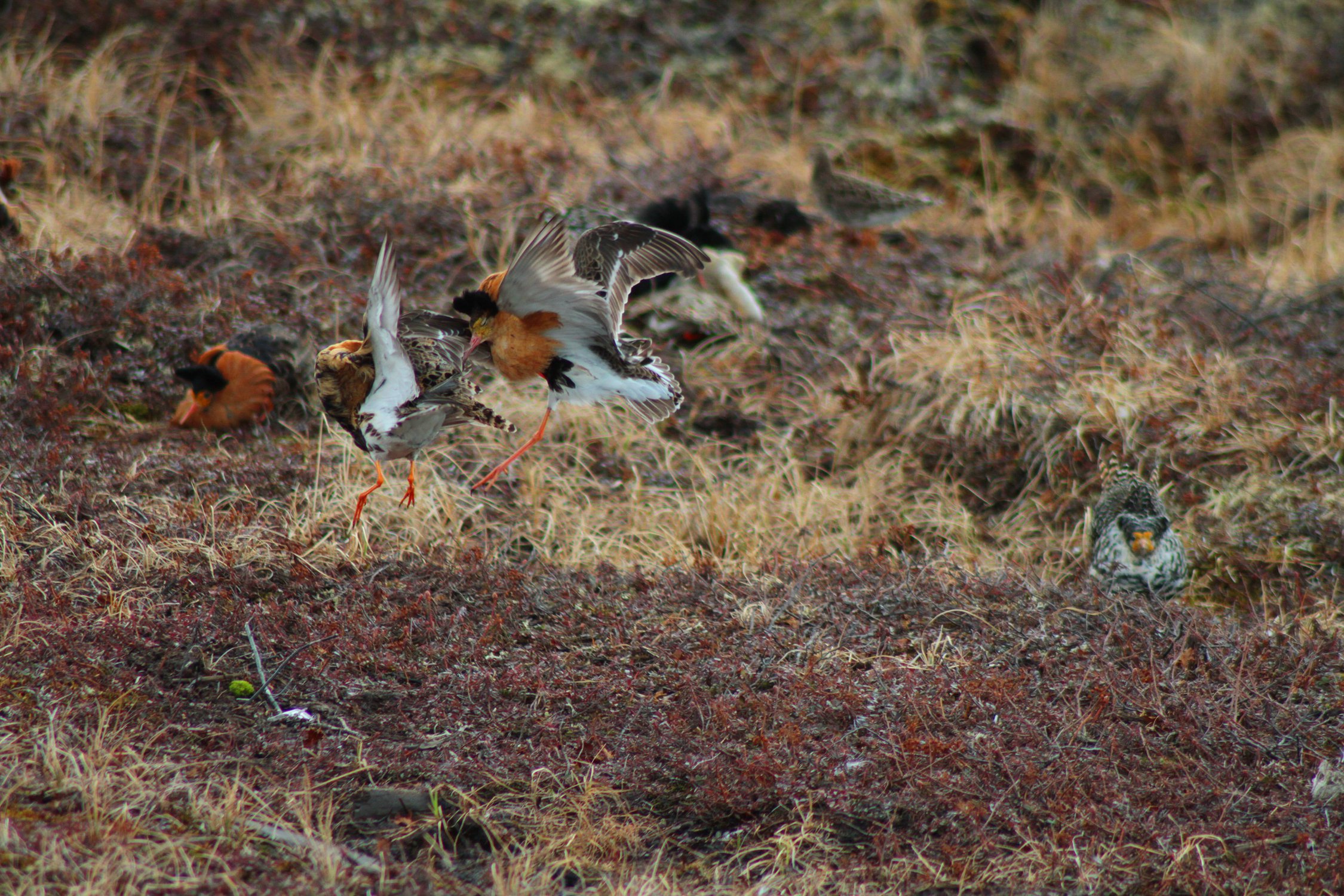 Выбери меня