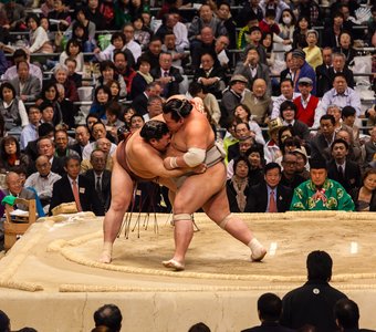 13 день турнира по сумо в Осаке